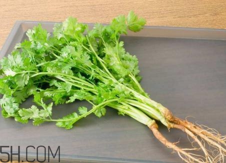 香菜根煮水能美白嗎？香菜根煮水能祛斑嗎？