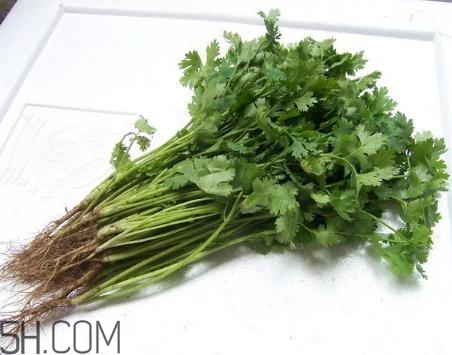 香菜根煮水能美白嗎？香菜根煮水能祛斑嗎？