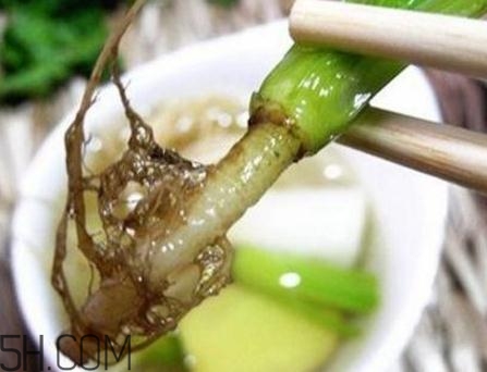 香菜根煮水能美白嗎？香菜根煮水能祛斑嗎？