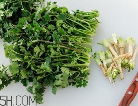 香菜根煮水能退燒嗎？香菜根煮水能治咳嗽嗎？