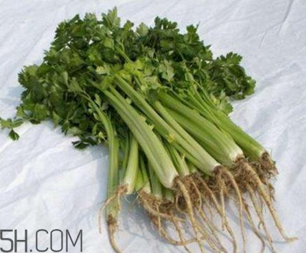 香菜根煮水能退燒嗎？香菜根煮水能治咳嗽嗎？