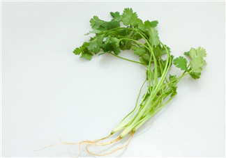 香菜根煮水能治濕疹嗎？香菜根煮水孕婦能喝嗎？