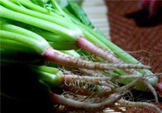 香菜根煮水能美白嗎？香菜根煮水能祛斑嗎？