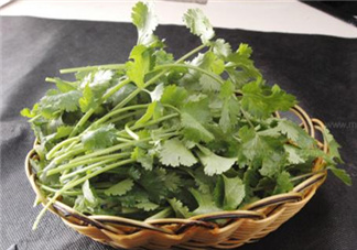 香菜根煮水能減肥嗎？香菜根煮水能天天喝嗎？