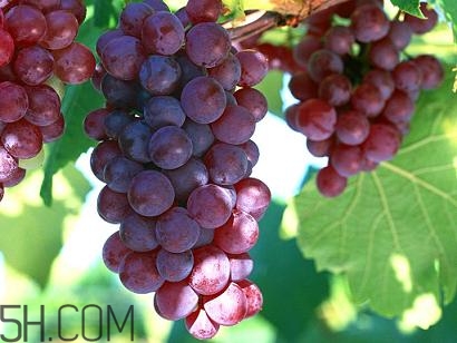 女性產(chǎn)后胸部松弛吃什么好？產(chǎn)后乳房變形如何保?。?></p><h3 style=