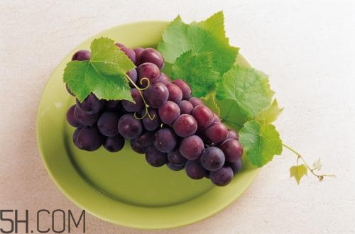 老年人吃葡萄有哪些好處？吃葡萄的注意事項(xiàng)是什么？