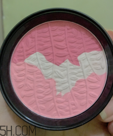 瑪麗黛佳腮紅怎么打？瑪麗黛佳腮紅怎么用？