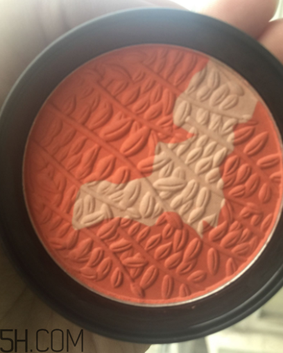 瑪麗黛佳腮紅怎么打？瑪麗黛佳腮紅怎么用？