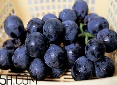 吃黑加侖對(duì)眼睛有什么好處？吃黑加侖要注意什么？