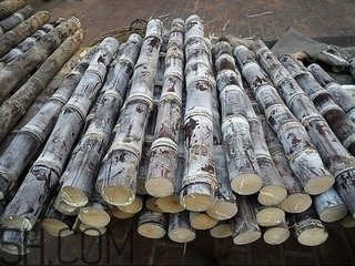 吃完甘蔗多久可以吃柿子？甘蔗和柿子一起吃了怎么辦？