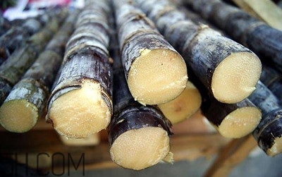 甘蔗和橙子能一起吃嗎？吃完甘蔗可以吃橙子嗎？