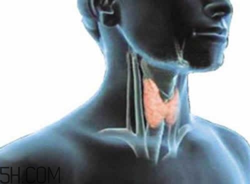 甲狀腺腫大和甲亢的區(qū)別有哪些？甲狀腺腫大適合吃什么食物？