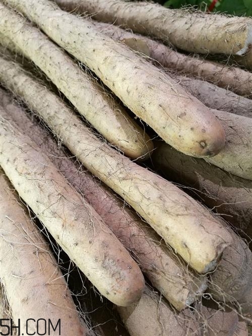 山藥牛油果能一起吃嗎？牛油果和山藥一起吃有什么好處？