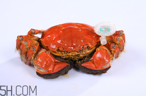 螃蟹和草莓可以一起吃嗎？吃了草莓可以吃螃蟹嗎？