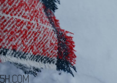 下雪可以殺死病毒嗎 下雪能殺病毒嗎 下雪可以殺死病毒嗎 下雪能殺病毒嗎