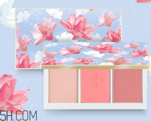 腮紅盤碎了怎么辦？腮紅盤摔碎了怎么修復(fù)