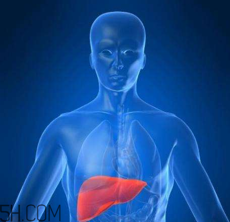 牙齦出血是肝臟出了問題？牙齦出血跟肝臟病變是否劃等號(hào)？