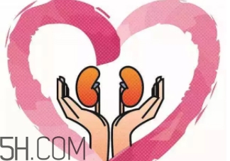 腎不好會早衰越長越矮？護腎千金方早用早好