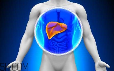 肝癌的高發(fā)人群有哪些？日常怎么預(yù)防肝癌？