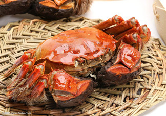 冬天可以吃大閘蟹嗎？冬天怎么吃大閘蟹？