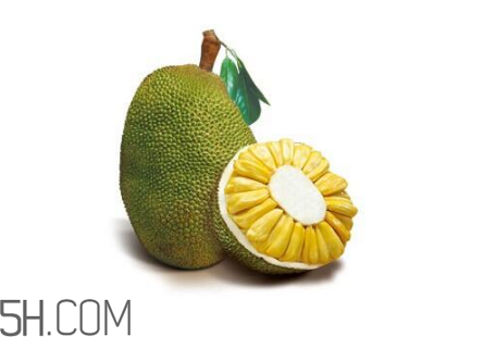 為什么吃菠蘿蜜拉肚子？吃菠蘿蜜拉肚子怎么辦？