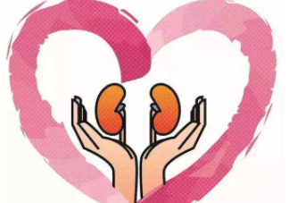 腎不好會(huì)早衰越長(zhǎng)越矮？護(hù)腎千金方早用早好