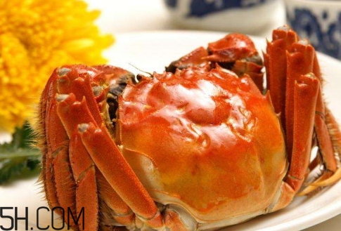 冬天可以吃大閘蟹嗎？冬天怎么吃大閘蟹？