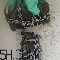 冬天可以吃大閘蟹嗎？冬天怎么吃大閘蟹？