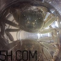 冬天可以吃大閘蟹嗎？冬天怎么吃大閘蟹？