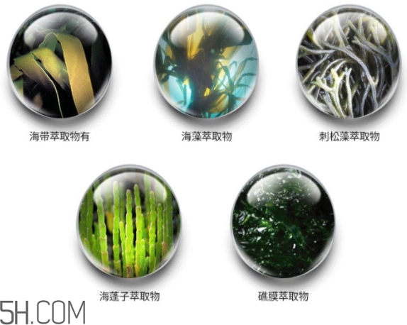 jmsolution珍珠面膜怎么用？jm珍珠珍珠面膜分為三部曲