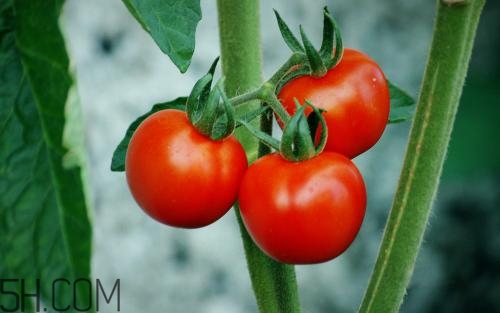 有效祛除痘印的方法？吃什么能夠去除痘痘呢？