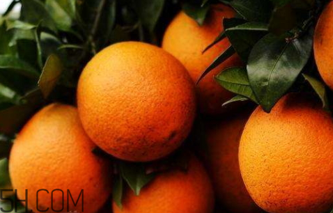 冰糖橙可以治咳嗽嗎？鹽蒸橙子快速治咳嗽