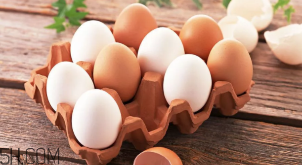 雞蛋要不要放冷藏？雞蛋的科學放置方法