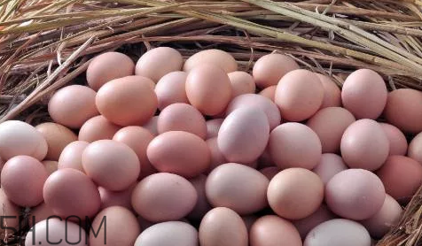 雞蛋要不要放冷藏？雞蛋的科學放置方法