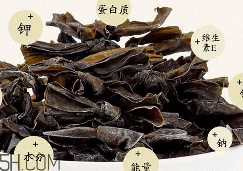 干海帶能放冰箱嗎 教你一招解決 干海帶能放冰箱嗎 教你一招解決