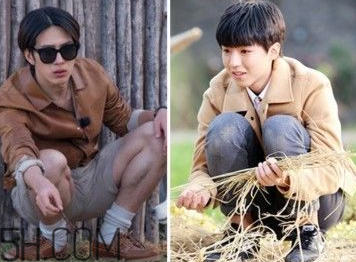 亞洲蹲對健康有害嗎？亞洲蹲的好處多多