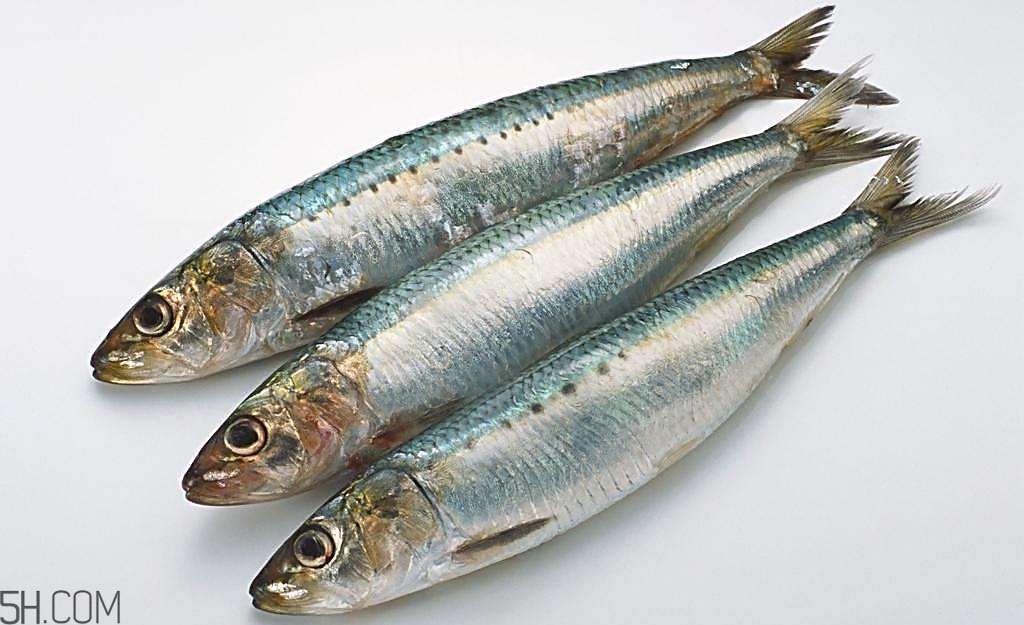 蕁麻疹不可以吃哪些食物？原來它也不能吃