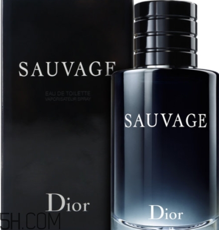 dior迪奧曠野男士淡香水好聞嗎？頻頻斷貨的魅力香水