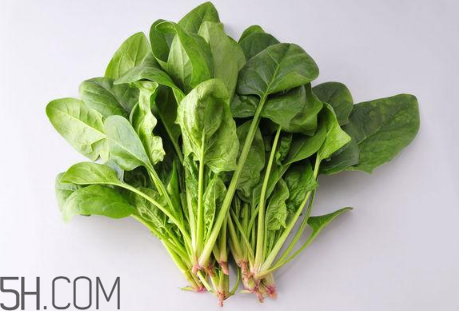 羊肉和菠菜能一起吃嗎？吃羊肉能吃菠菜嗎？