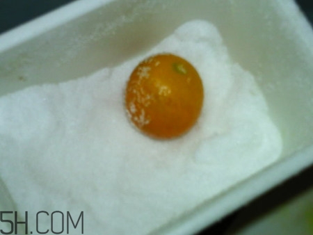 鹽漬金桔多久可以吃？鹽漬金桔放久了能吃嗎？