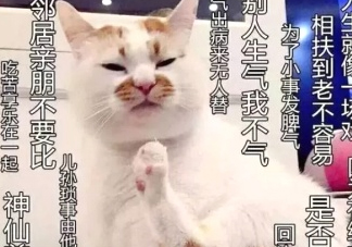 佛系妝是什么妝？佛系妝容輕松打造