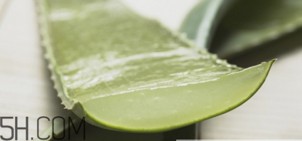 蘆薈膠祛痘效果好嗎？蘆薈膠真的會(huì)祛痘