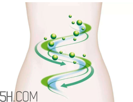 身體哪些地方的清洗容易被忽略？洗澡排便要重視