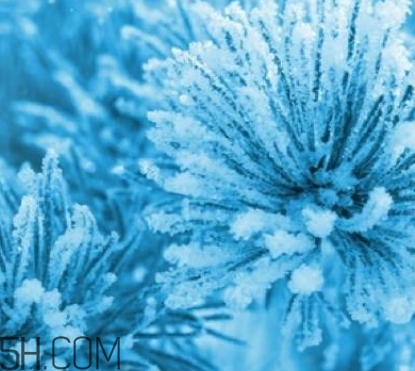 自然堂雪松精油怎么樣？雪松御齡綻放年輕光彩