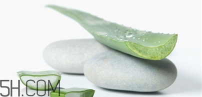 懷孕可以用蘆薈膠嗎？天天使用蘆薈膠的方法