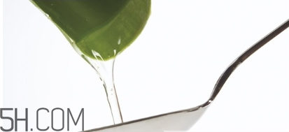 擠痘痘后可以涂蘆薈膠嗎？涂抹維生素e和蘆薈膠的作用