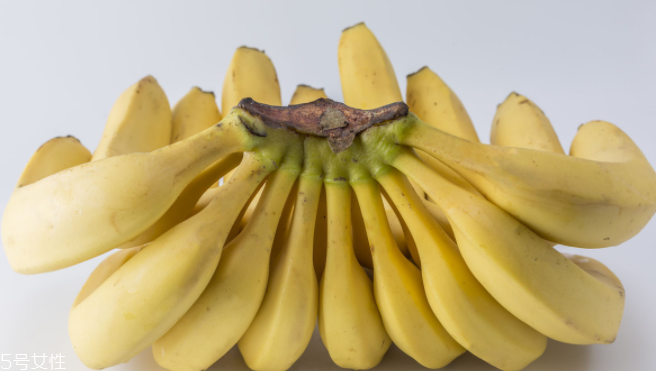 猴子為什么愛吃香蕉？熱量高營養(yǎng)多令人高興