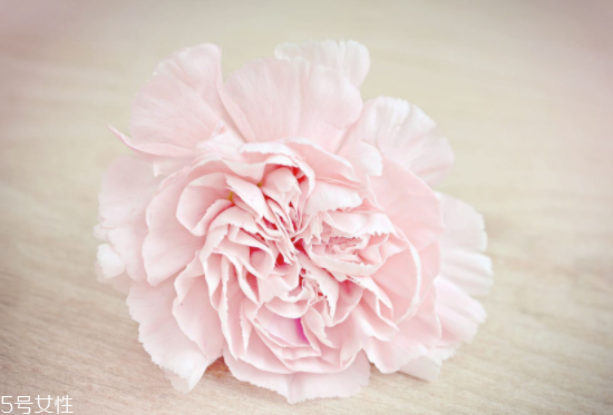 月經(jīng)量少能懷上寶寶嗎？能否排卵是關(guān)鍵