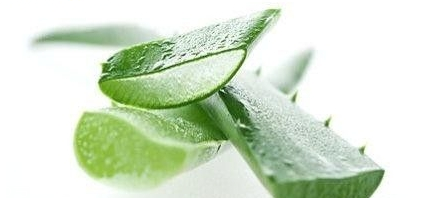 嘴唇干裂能用蘆薈膠嗎？鼻子脫皮也可以用蘆薈膠