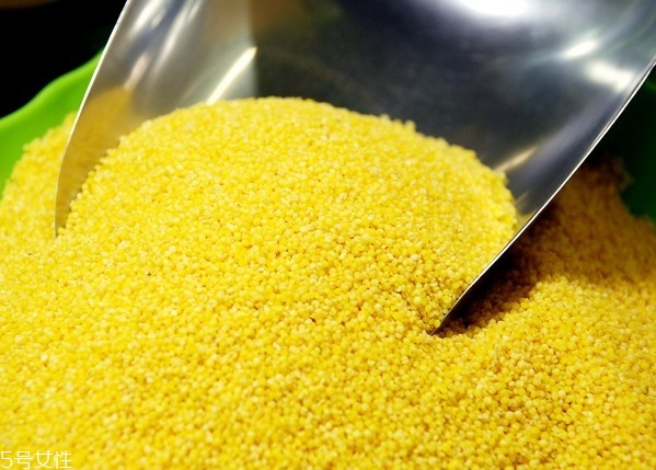 影響寶寶智力水平的因素有哪些？最常見的5大因素